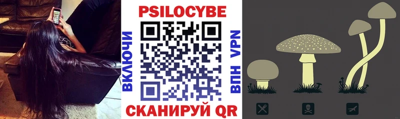 Псилоцибиновые грибы прущие грибы Вышний Волочёк